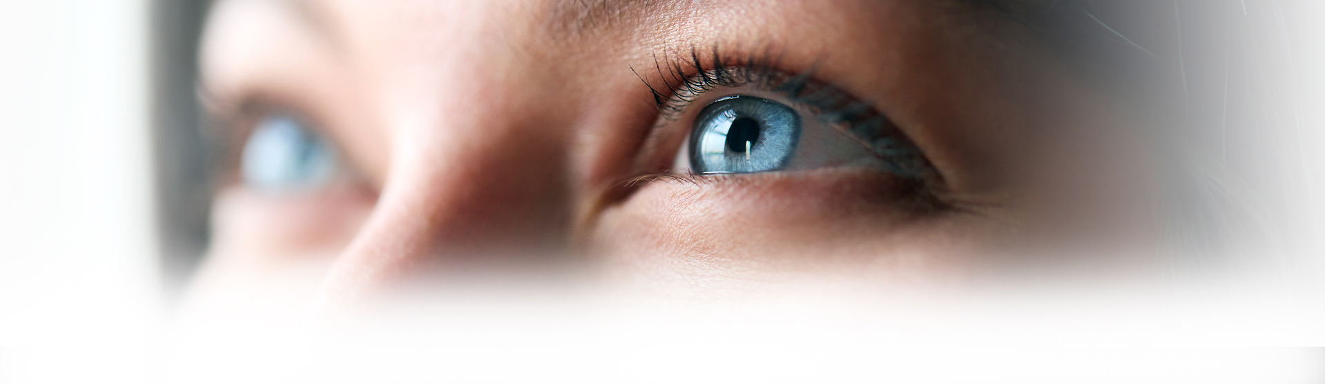 Family-banner-img
